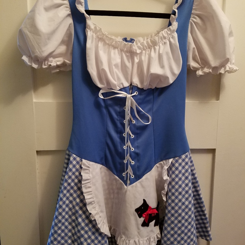 Small Sexy dorothy Leg Avenue Halloween costume oz